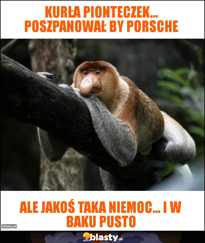 Kurła pionteczek... poszpanował by porsche