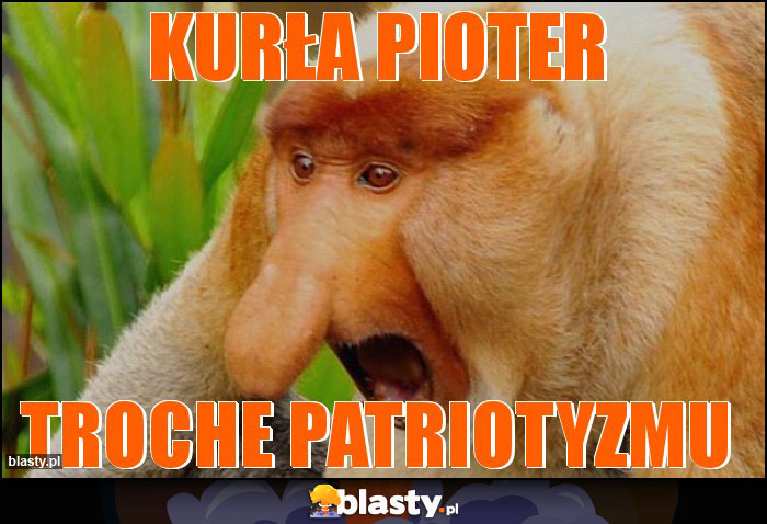 KURŁA PIoTEr