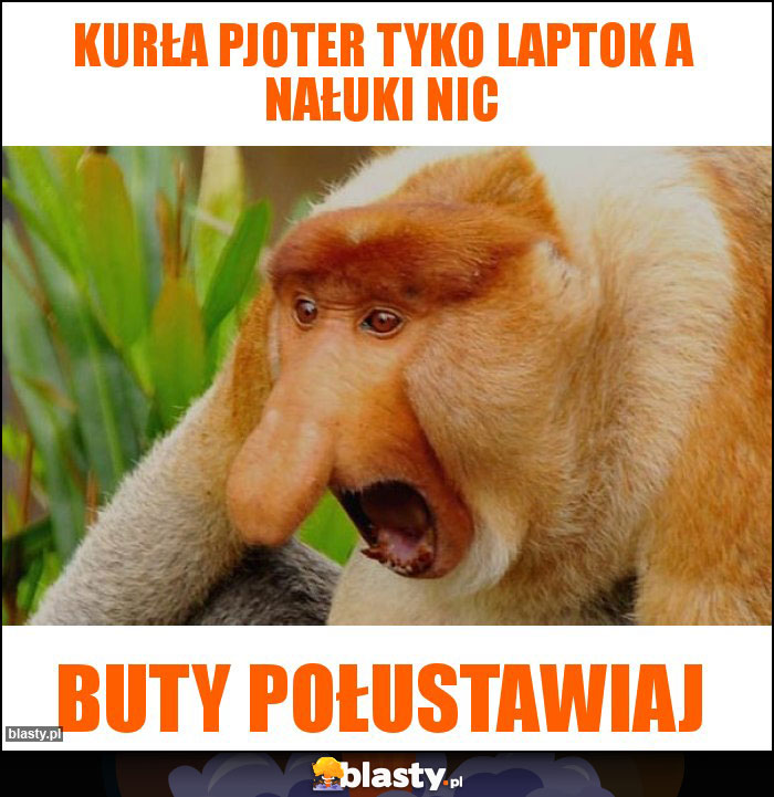 Kurła Pjoter tyko laptok a nałuki nic Kurła Pjoter tyko laptok a nałuki nic