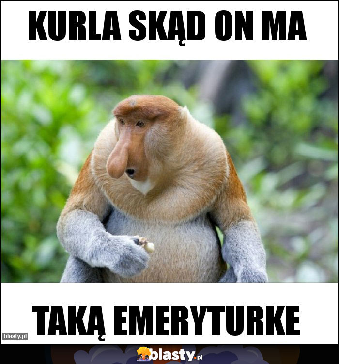 Kurla skąd on ma Kurla skąd on ma