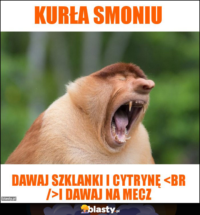 Kurła Smoniu Kurła Smoniu