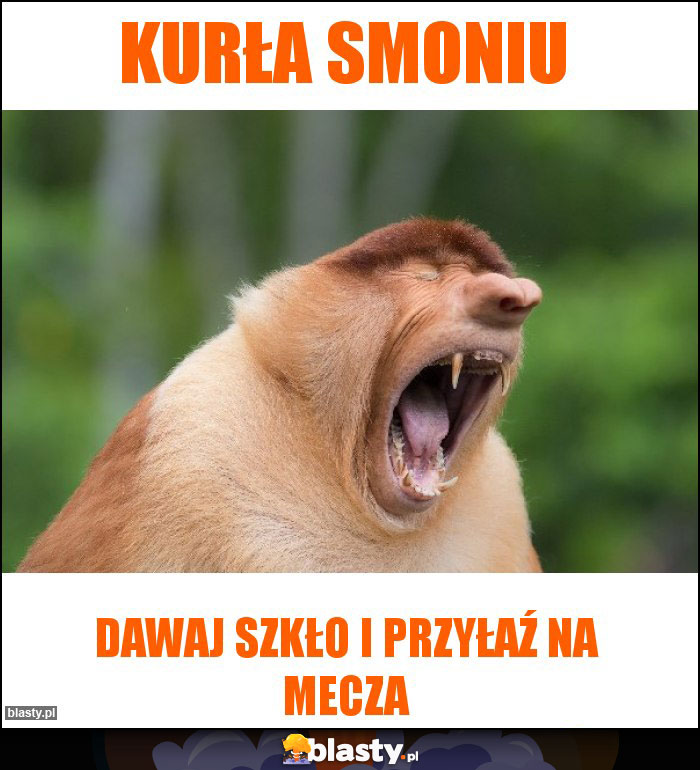Kurła Smoniu Kurła Smoniu