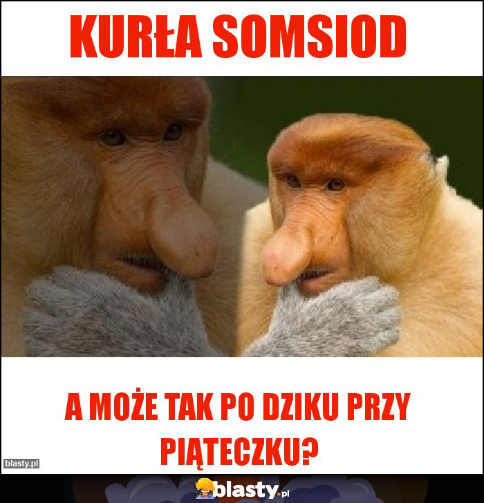 Kurła somsiod Kurła somsiod