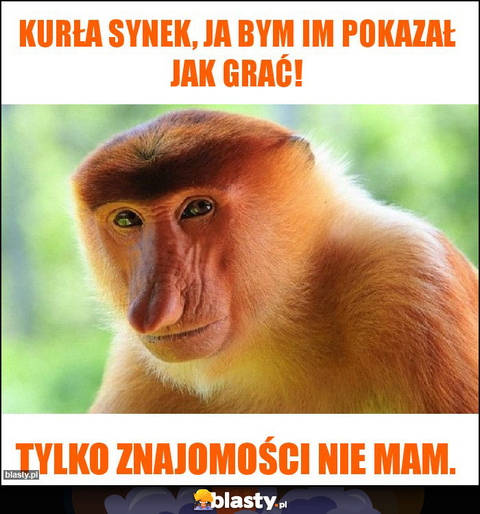 Kurła synek, ja bym im pokazał jak grać!