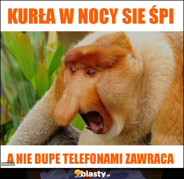 Kurła w nocy sie śpi Kurła w nocy sie śpi