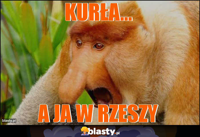 Kurła...