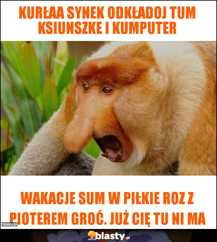 Kurłaa Synek ODKŁADOJ TUM KSIUNSZKE I KUMPUTER Kurłaa Synek ODKŁADOJ TUM KSIUNSZKE I KUMPUTER