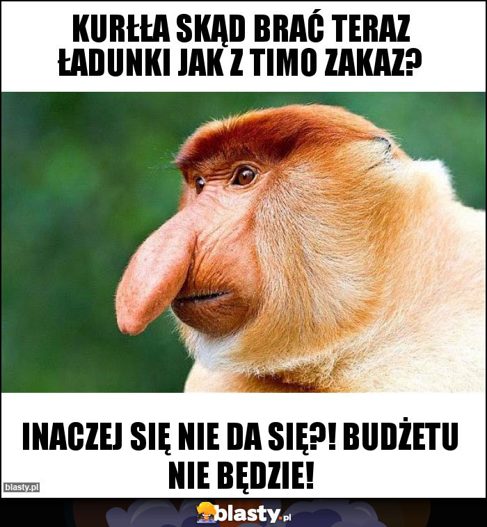 kurłła skąd brać teraz ładunki jak z TIMO zakaz? kurłła skąd brać teraz ładunki jak z TIMO zakaz?