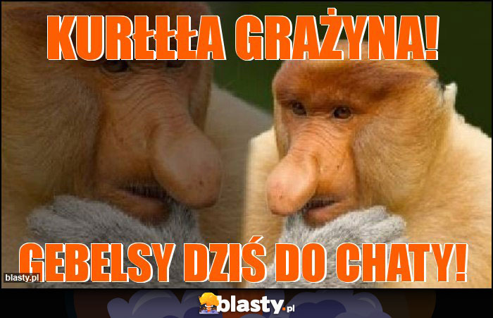 Kurłłła Grażyna! Kurłłła Grażyna!