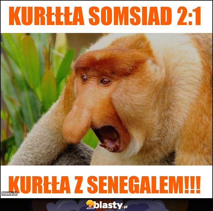 Kurłłła somsiad 2:1 Kurłłła somsiad 2:1