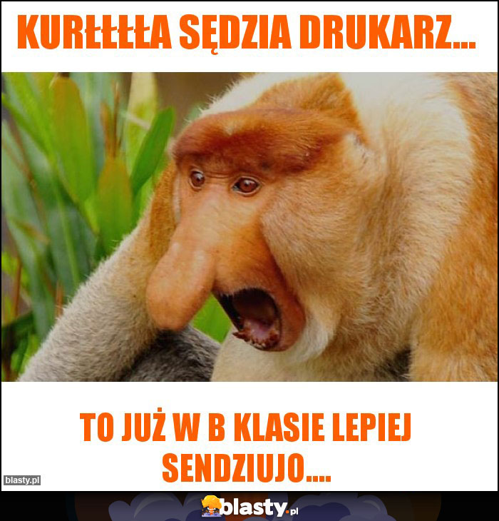 Kurłłłła sędzia drukarz... Kurłłłła sędzia drukarz...