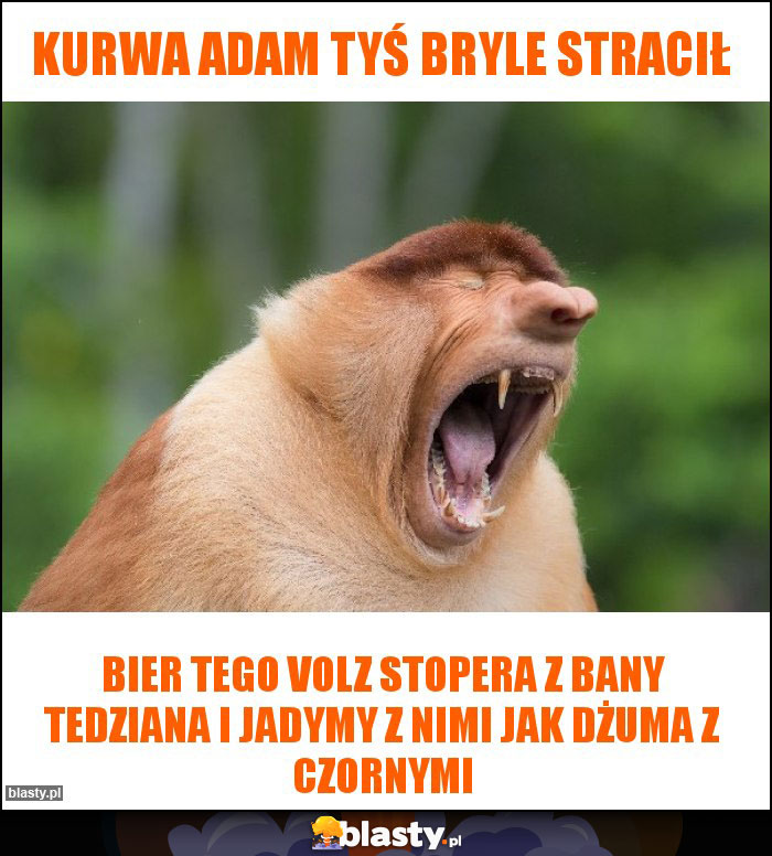 KURWA ADAM TYŚ BRYLE STRACIŁ KURWA ADAM TYŚ BRYLE STRACIŁ