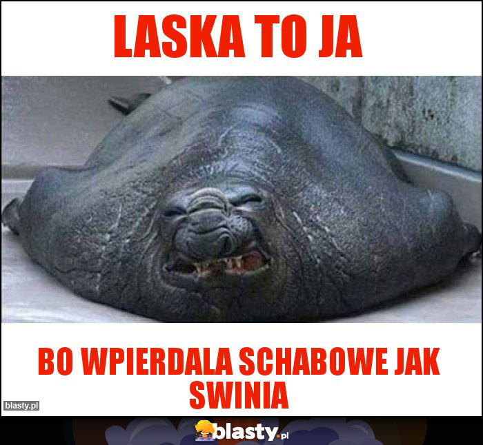Laska to ja Laska to ja