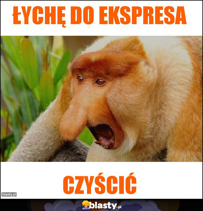 Łychę do ekspresa Łychę do ekspresa