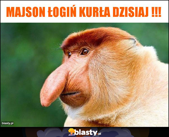 Majson Łogiń Kurła Dzisiaj !!! Majson Łogiń Kurła Dzisiaj !!!