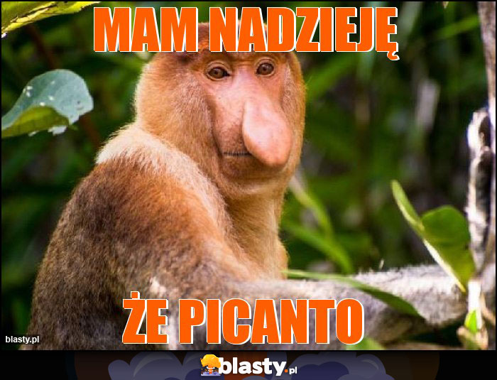 Mam nadzieję Mam nadzieję