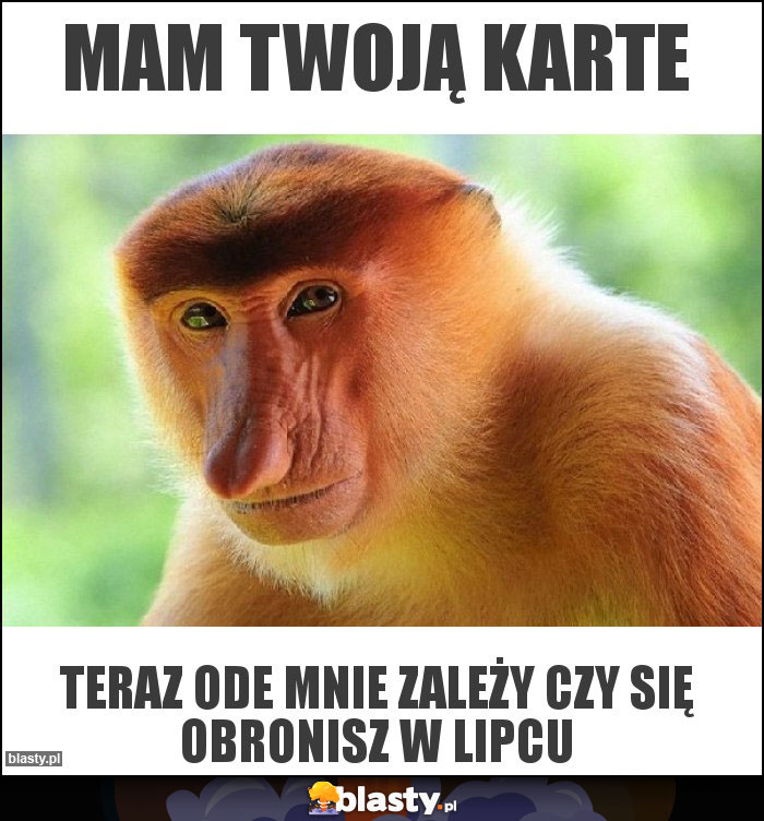 mam twoją karte mam twoją karte