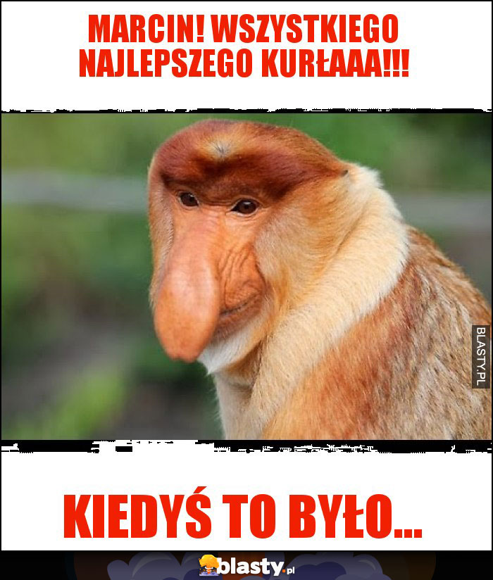 Marcin! Wszystkiego najlepszego KURłaaa!!! Marcin! Wszystkiego najlepszego KURłaaa!!!