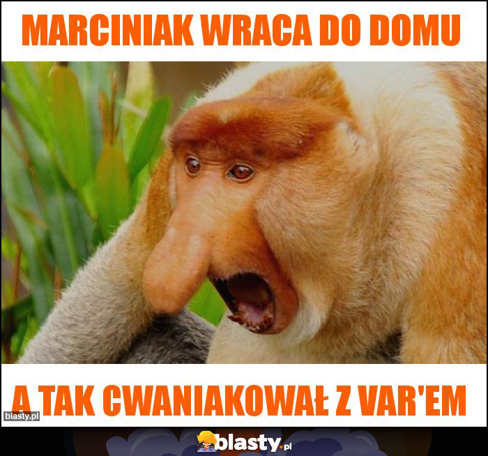 Marciniak wraca do domu