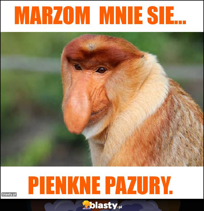 Marzom mnie sie... Marzom mnie sie...