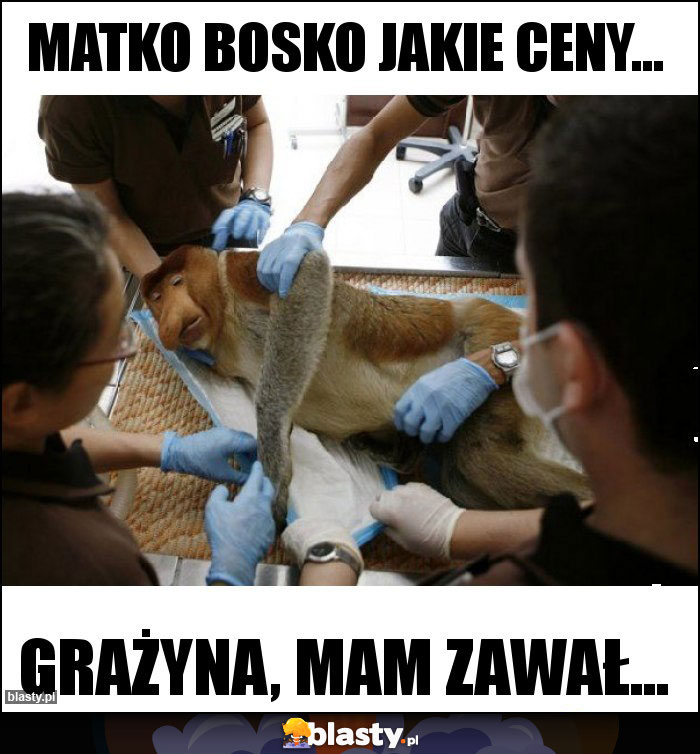 Matko Bosko jakie ceny... Matko Bosko jakie ceny...