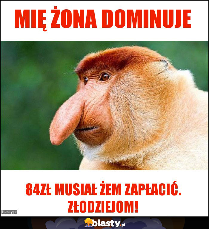 mię żona dominuje mię żona dominuje