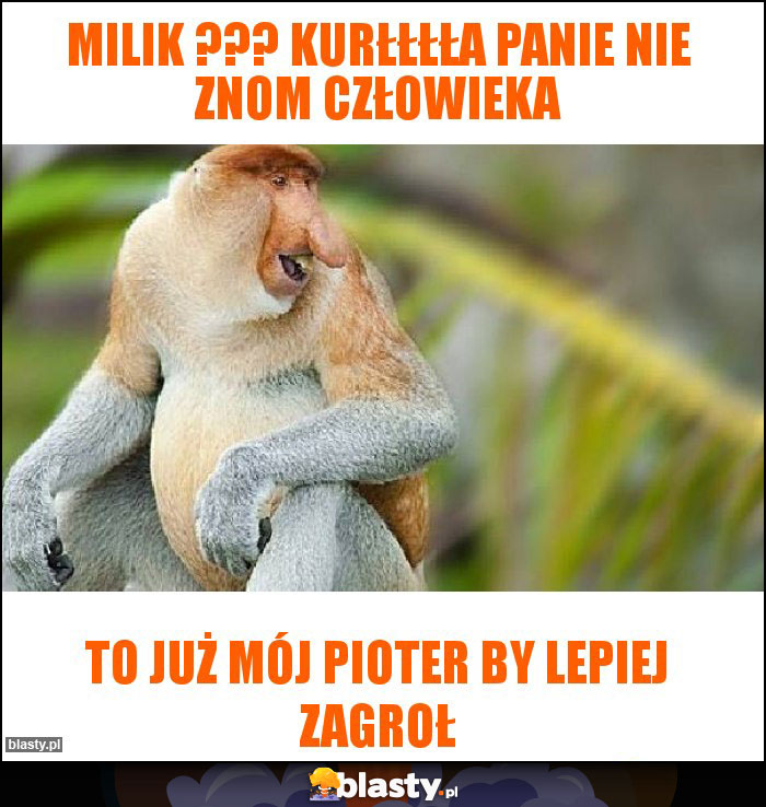 Milik ??? Kurłłłła Panie nie znom człowieka Milik ??? Kurłłłła Panie nie znom człowieka