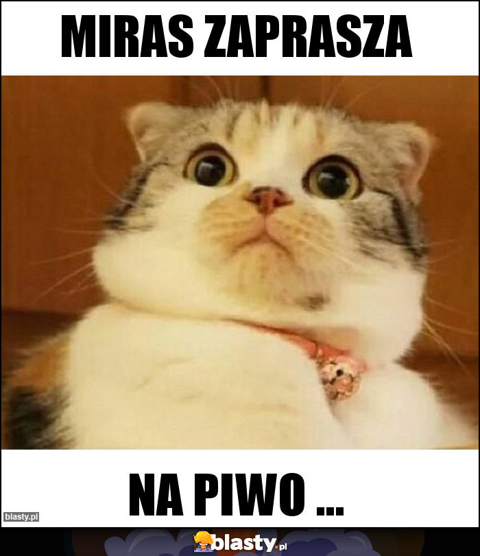 Miras zaprasza Miras zaprasza