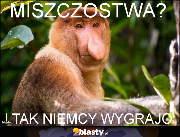 miszczostwa? miszczostwa?
