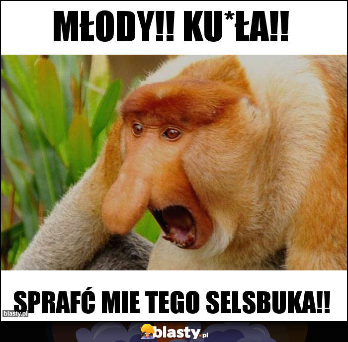 Młody!! Ku*ła!! Młody!! Ku*ła!!