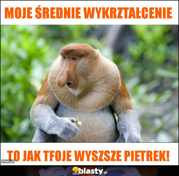 moje średnie wykrztałcenie moje średnie wykrztałcenie
