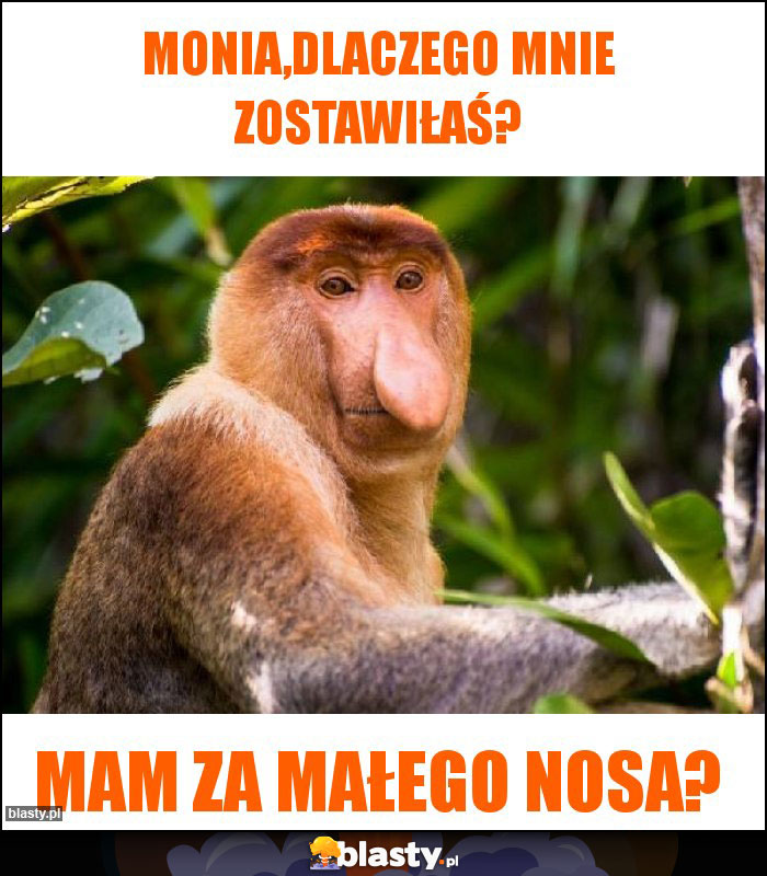 Monia,dlaczego mnie zostawiłaś? Monia,dlaczego mnie zostawiłaś?