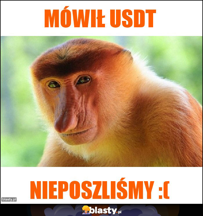 Mówił usdt Mówił usdt
