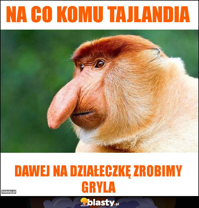na co komu Tajlandia na co komu Tajlandia