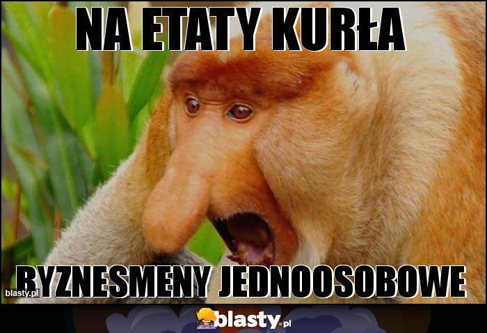 na etaty kurła na etaty kurła