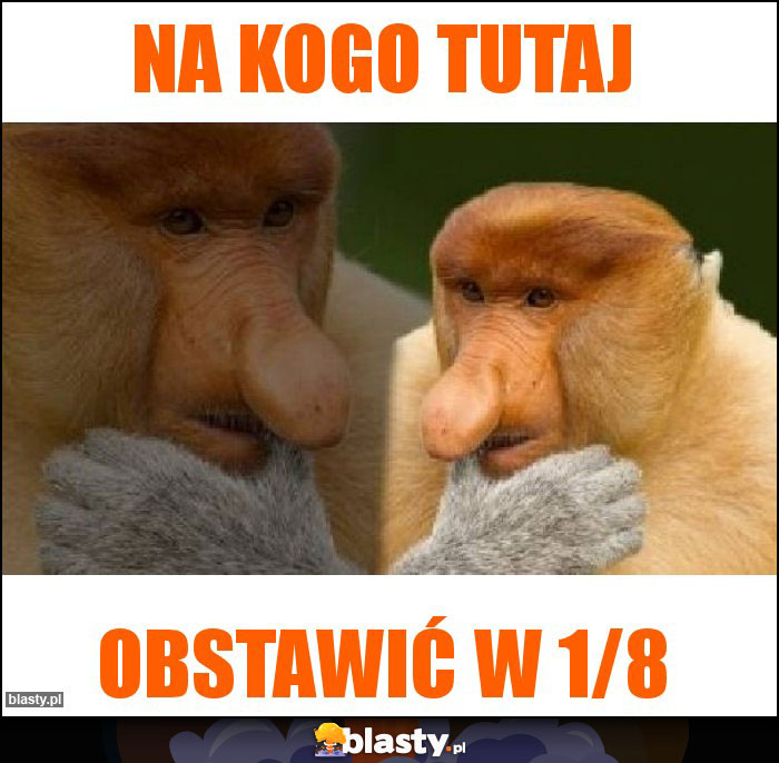 Na kogo tutaj