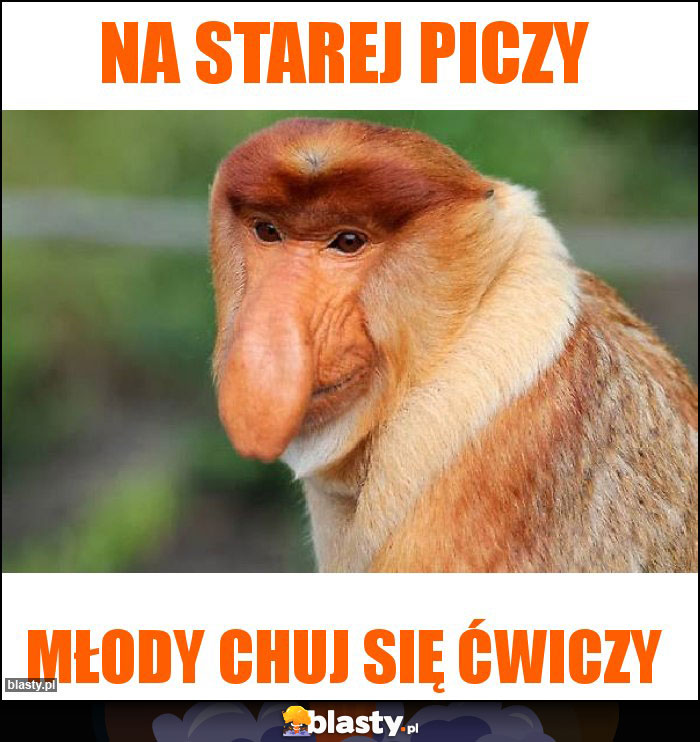 Na starej piczy Na starej piczy