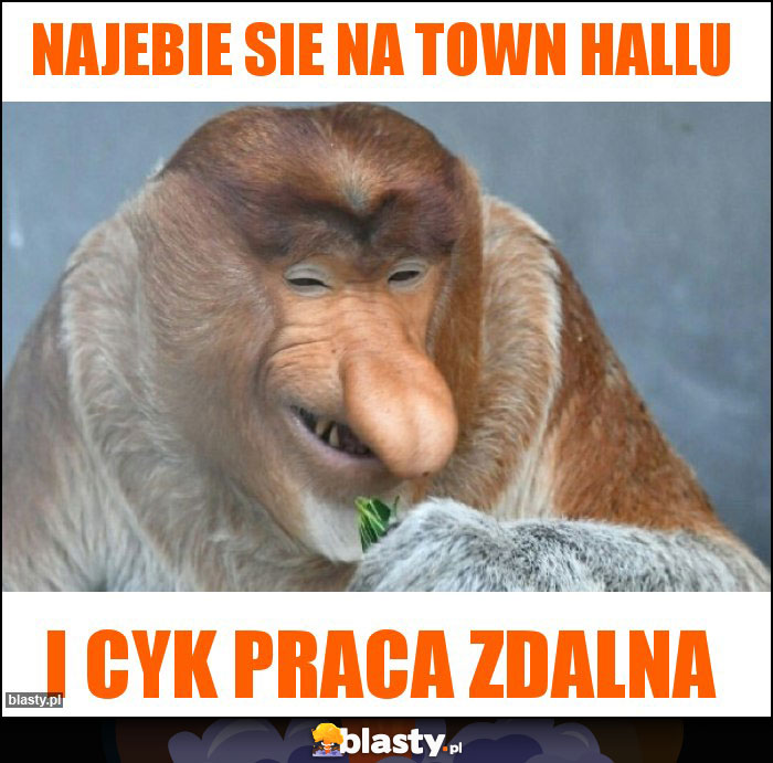 NAJEBIE SIE NA TOWN HALLU NAJEBIE SIE NA TOWN HALLU