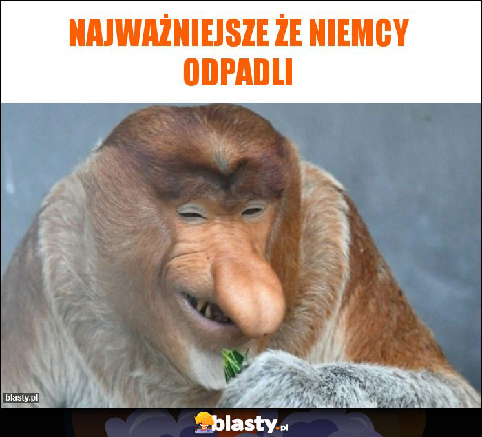 Najważniejsze że niemcy odpadli Najważniejsze że niemcy odpadli