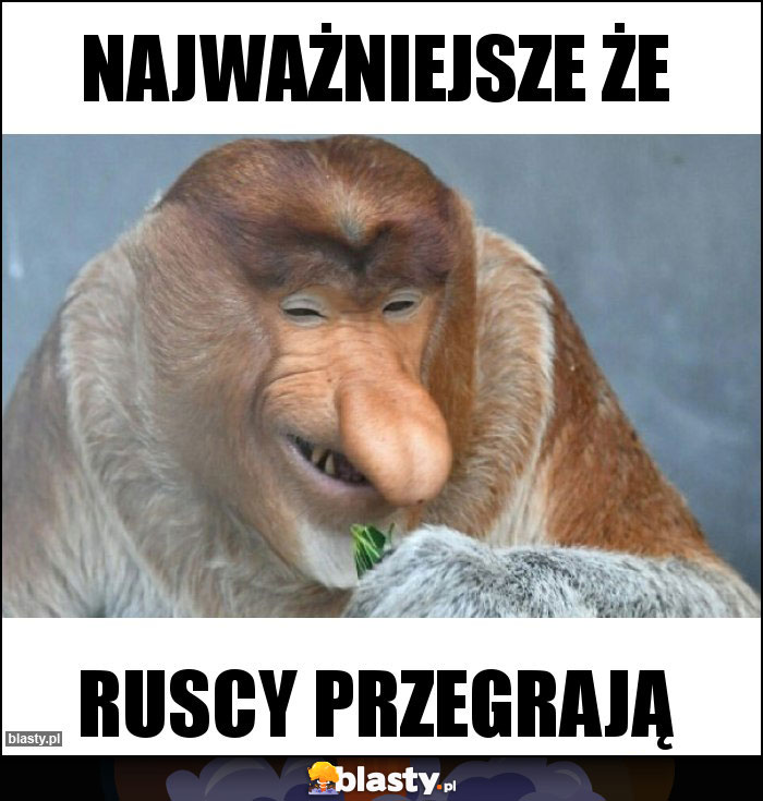 najważniejsze że najważniejsze że