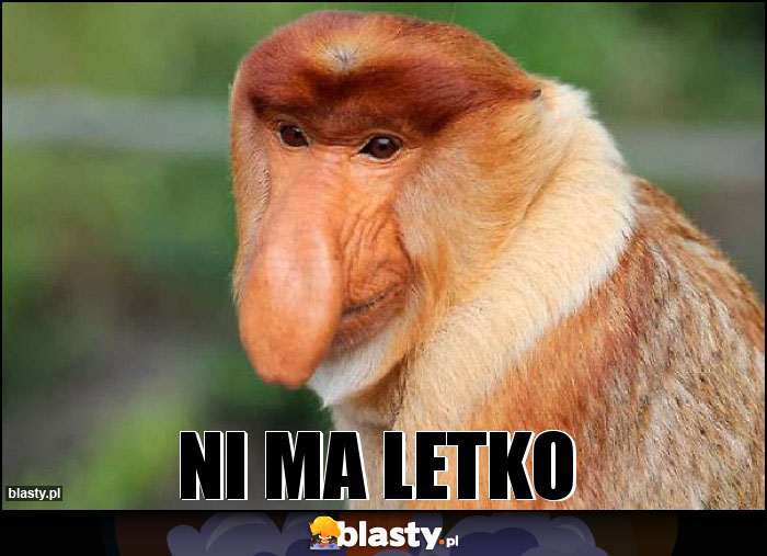 Ni ma letko