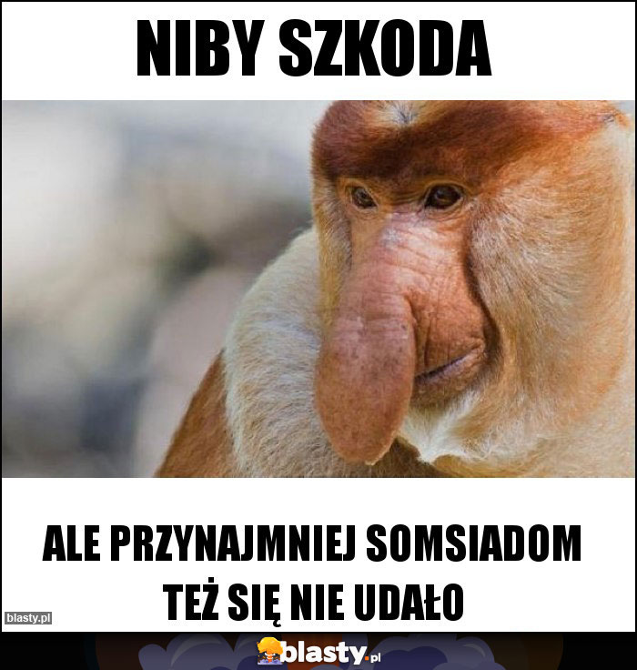 niby szkoda niby szkoda