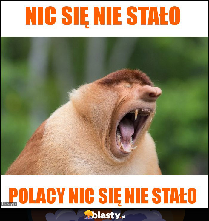 Nic się nie stało