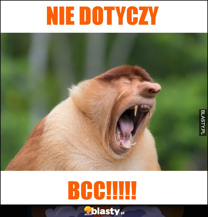 Nie dotyczy Nie dotyczy