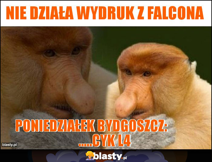 Nie działa wydruk z FALCONA Nie działa wydruk z FALCONA