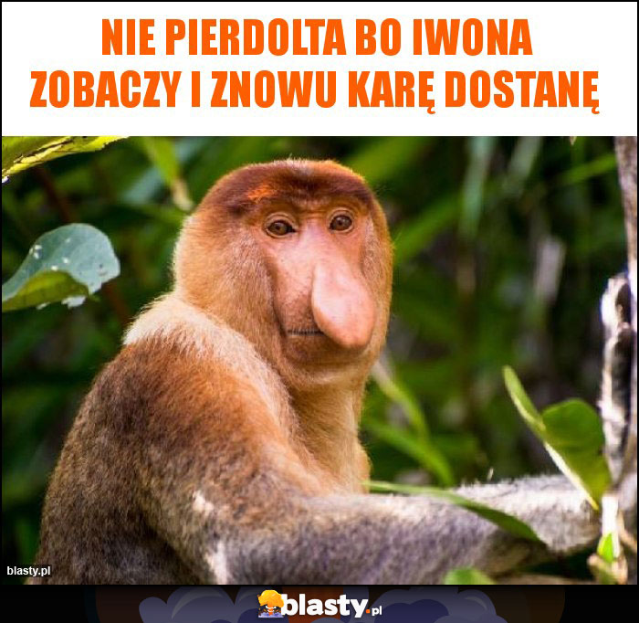 Nie pierdolta bo Iwona zobaczy i znowu karę dostanę Nie pierdolta bo Iwona zobaczy i znowu karę dostanę