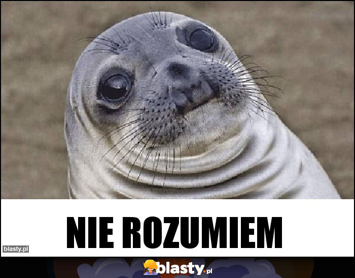 Nie rozumiem Nie rozumiem