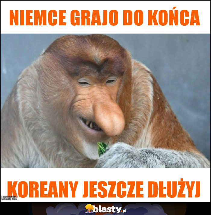 niemce grajo do końca niemce grajo do końca
