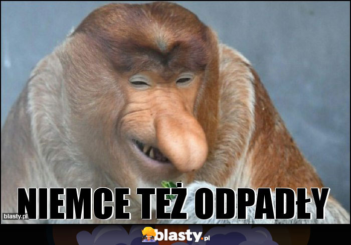Niemce też odpadły Niemce też odpadły