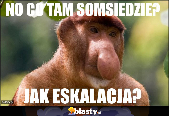 No co tam somsiedzie? No co tam somsiedzie?